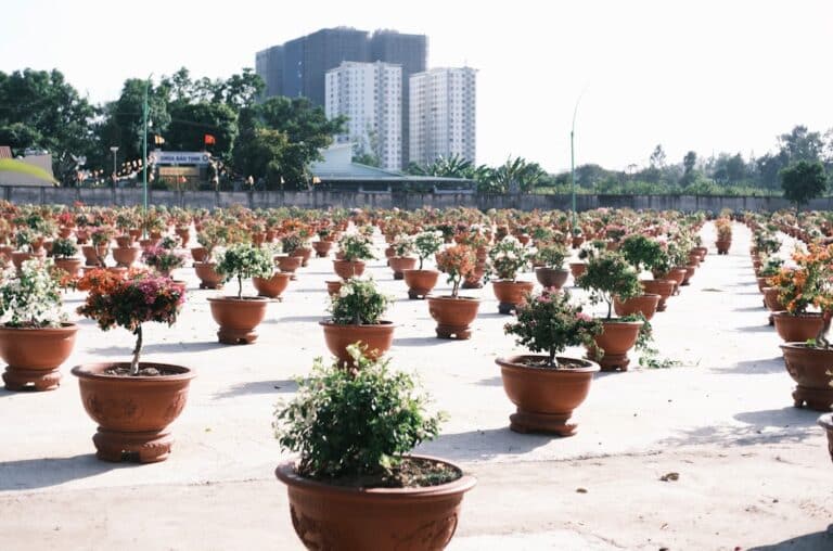 cheap large planters