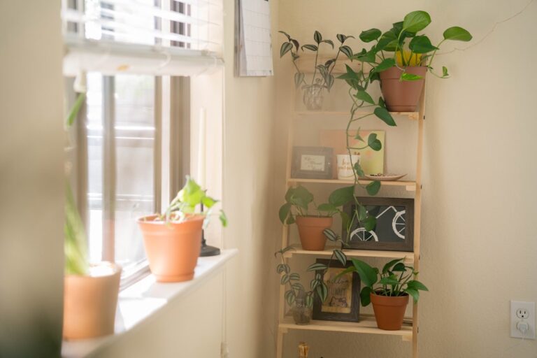 Indoor plant health