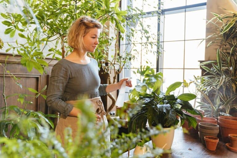 indoor plants allergy sufferers