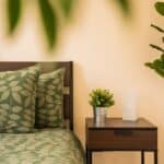 bedroom plants for oxygen