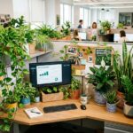 best cubicle plants