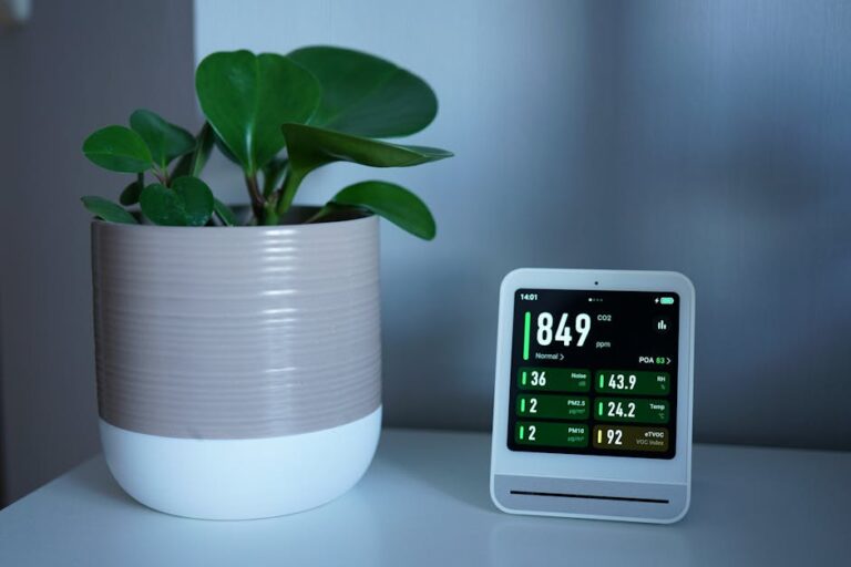 indoor plants air purifier